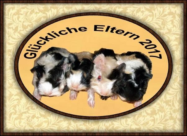 glueckliche-eltern-2017