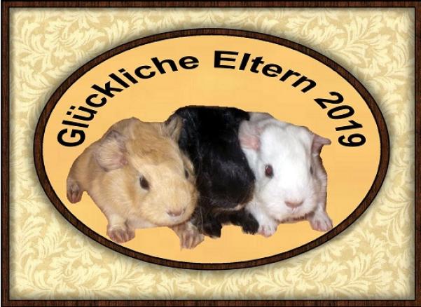 glueckliche-eltern-2019